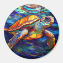 Search for turtle magnets Tropical
