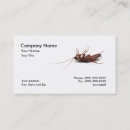 Recherche de mort cartes visite Insecte