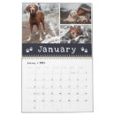 Search for cat calendars Photo collage