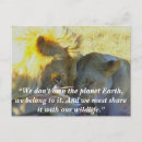 Search for conservatives horizontal postcards Wildlife