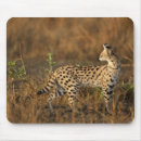 Search for mcdonald mousepads Wildlife