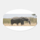 Search for serengeti stickers Wild