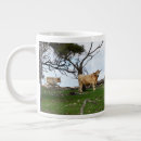 Search for highland cow mugs Cattle