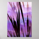 Search for cattail art Sedges