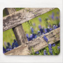 Search for springtime electronics Floral