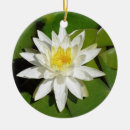 Search for mystical ornaments Floral