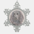 Search for boykin spaniel ornaments Swamp poodle