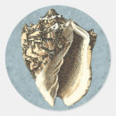 Search for conch shells stickers Coastal