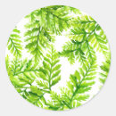 Search for fern stickers Watercolor