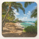 Search for palm tree coasters Maui hawaii
