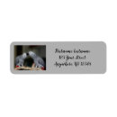 Search for african return address labels Bird