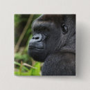 Search for captivating buttons Wildlife