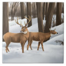 Search for whitetail deer tiles Wildlife