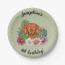Recherche de hongrois assiettes Vizsla