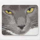 Search for whiskers photography Grey