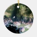 Search for sea lion ornaments Ocean