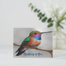 Recherche de peintures colibri cartes postales Peinture de colibri