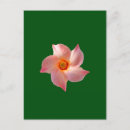 Recherche de floral rose cartes postales Vert