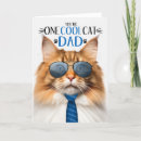 Search for norwegian forest cat Cats