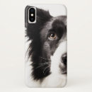 Search for border collie iphone cases Canine