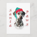 Search for dalmatian christmas cards Dalmation