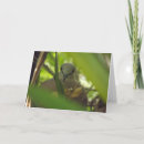 Search for turtle dove cards Bird