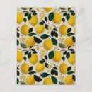 Recherche de fruit vert cartes postales Vintage