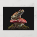 Search for mushroom postcards Garden