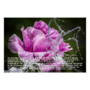 Search for large butterfly posters Pink