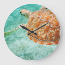 Recherche de grande tortue horloges Vacances