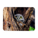Recherche de tacheté magnets Oiseau