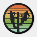 Search for electrician magnets Lineman