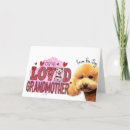 Recherche de maman caniche vœux cartes Jour de la mère