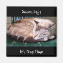 Search for nap magnets Cat