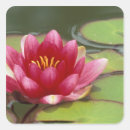Search for woodland park stickers Usa