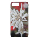 Search for switzerland electronics Flower