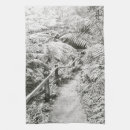 Search for gully Fern