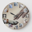 Recherche de maltais horloges Canine