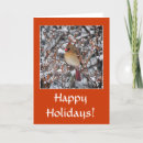 Search for woodland animals holiday cards Cardinal