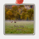 Search for elk ornaments Hunter