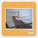 Search for pasted stickers I can has cheezburger