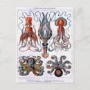 Recherche de octopus illustration posters Kraken