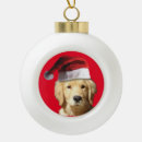 Search for pup ornaments Santa