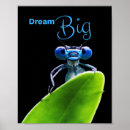 Recherche de coach posters Coach de la vie