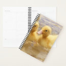 Recherche de petit animal bureau fournitures Jaune