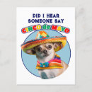 Recherche de vacances mexicaines cartes postales Fête mexicaine