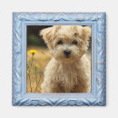 Search for instagram magnets Photo sharing