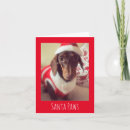 Search for sausage dog christmas cards Cute