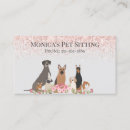 Search for sitting pretty Pet