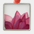 Search for lotus flower ornaments Petal